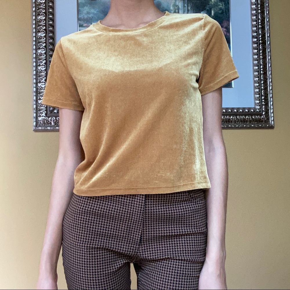 Gold Velour Short Sleeve Top